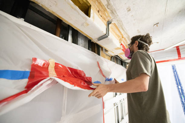 Best Mold Prevention Services  in Owensville, MO